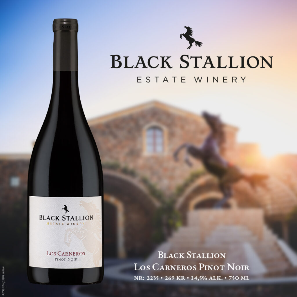 black-stallion-los-carneros-1080x1080px