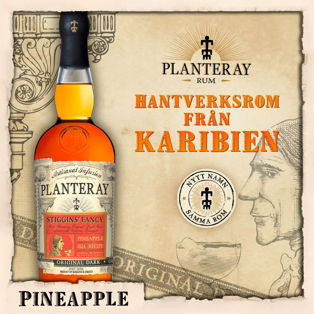 planteray_pineapple_some-bild_1-1-2