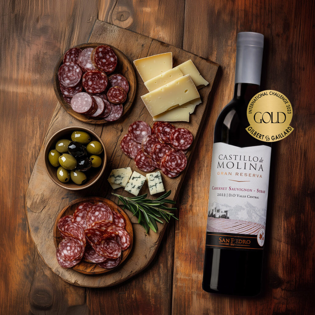 Castillo de Molina Cabernet Sauvigon Syrah – FS